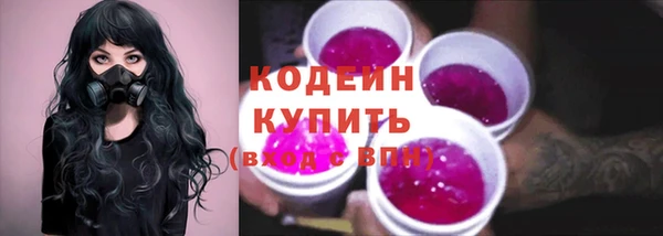 apvp Няндома